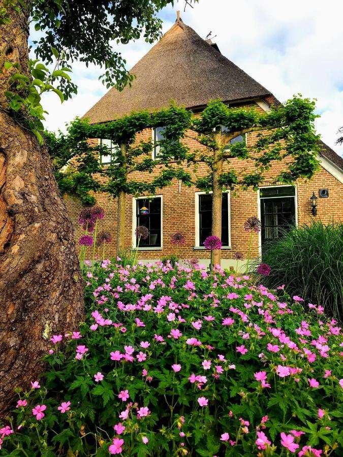 Appartement "In De Wolken" In Gees ภายนอก รูปภาพ